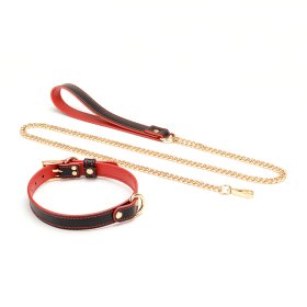 Double Layer Collar and Leash