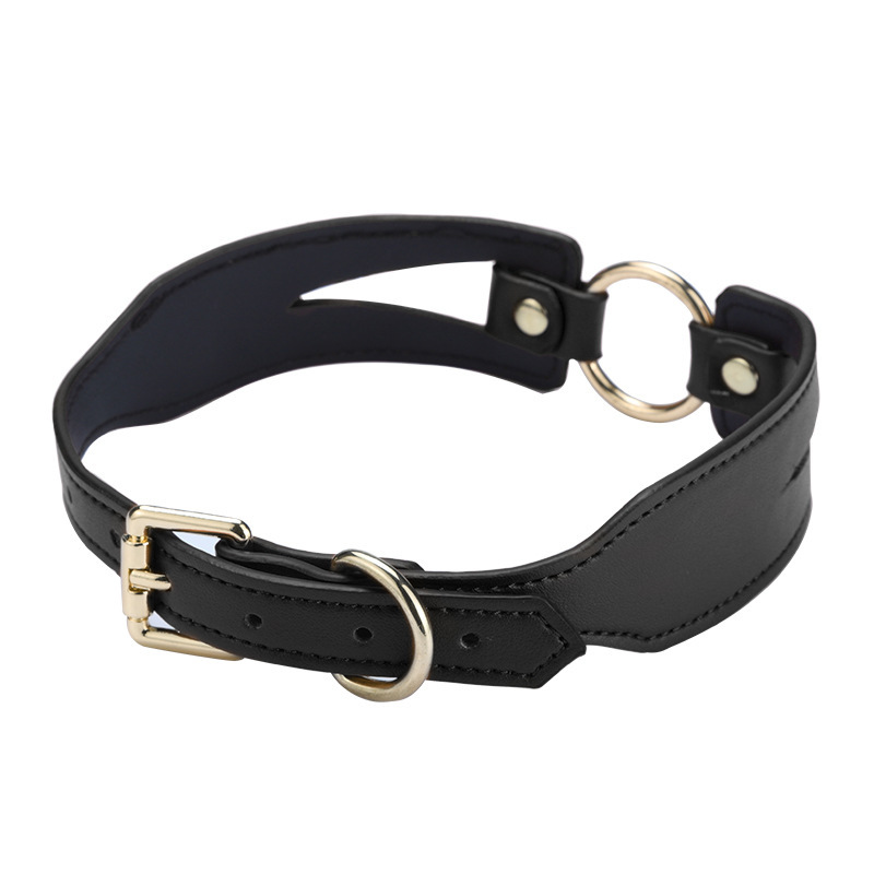 O Ring Leather Neck Collar - Click Image to Close