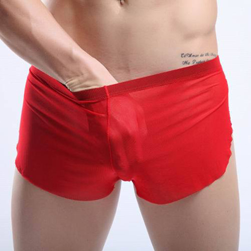 New Arrival See-through Comfortable Mesh Boxers - Click Image to Close
