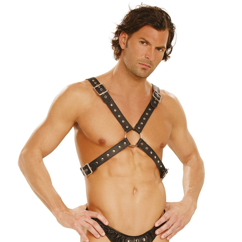 Leather Harness with Stud Detailing - Click Image to Close