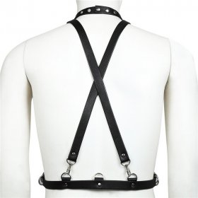 Body Harness with Hook