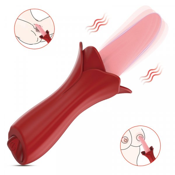 Lipstick Licking Vibrator