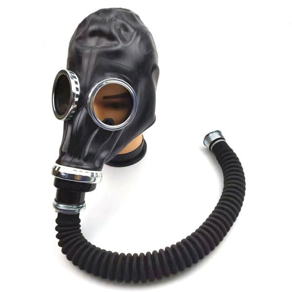 Gas Mask Including Filter
