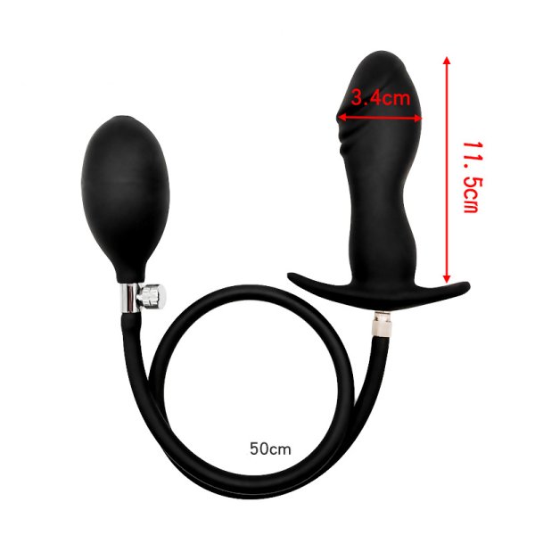 Inflatable Plug with Removable Pump