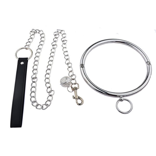 Stainless Steel Bandage Collar and Leash Set