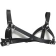 Spartacus Men's Leather Harness and Gears