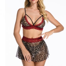Wild Leopard Printed Mesh Hollowed-out Bra&panty Dress Set