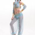 Exotic Charming Belly Dance Show Costume