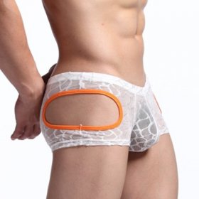 Comfortale Lace Transparent Boxer Shorts Underwear