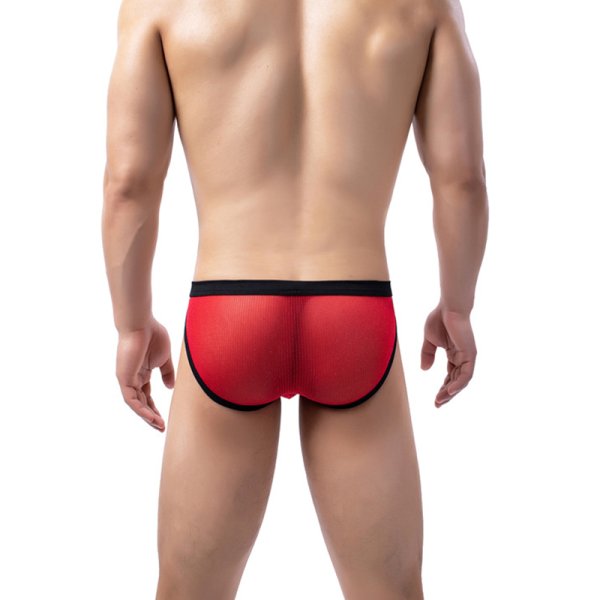 Characteristic Men See-through Briefs Panty