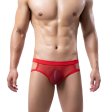 Multi-colored Hollowed-out Mesh Assless Panty For Men