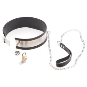 Rapture Steel Band Collar With Leash