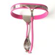 Silicone Liner Female Chastity Belt with No Hole