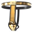 Golden Female Adjustable Rigid Chastity Belt