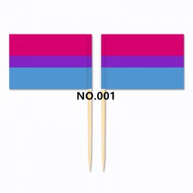 D704 Pride Toothpick Flag-100pcs