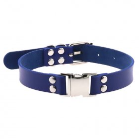 Magnetic Leather Collar