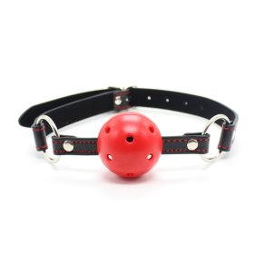 Pin Buckle Breathable O Ring Heart Strap Ball Gag