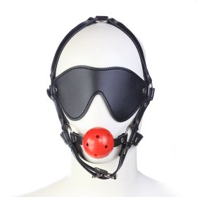 Harness Ball Gag With Blinder