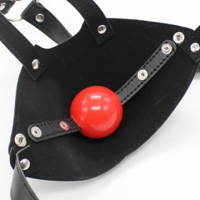 Leather Harness With Rubber Gag