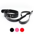 Fur Lined Collar with Leash