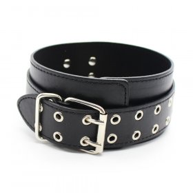 Double Pins Buckle Collar with One D-Ring