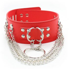 D-O-Ring Bondage Collar With Chain