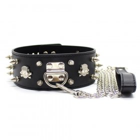Collar Lockable With Full Spikes