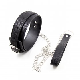 My Little Pet Collar and Leash