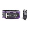 Double Color Plush Lined Leather Lead Collar