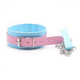 Blue & Pink Collars with Lead