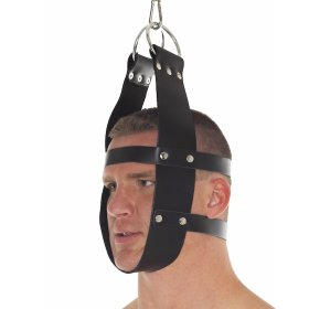 Head Immobilization Harness