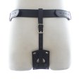 Waist Harness with Cock Ring And Plug