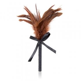 Frisky Feather Duster With Bow