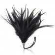 Pom Pom Feather Tickler With Metal Handle