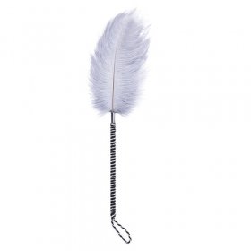 Playful Feathers Tickler