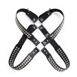 Harness With Two Rows O Shiny Pyramid Studs