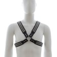 Harness With Two Rows O Shiny Pyramid Studs