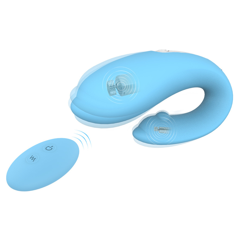 (image for) Winter Dolphin We Vibe