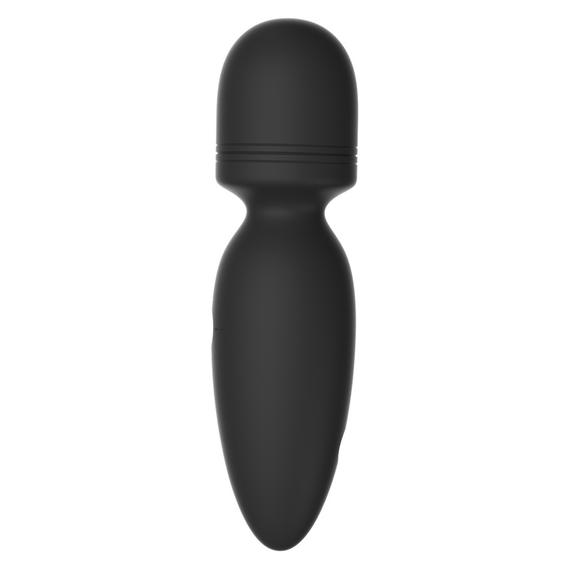 (image for) Baldwin Magic Wand AV Vibrator