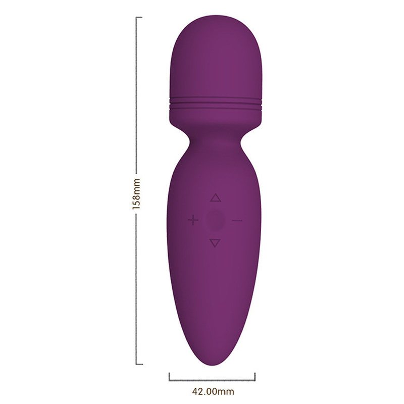 (image for) Baldwin Magic Wand AV Vibrator