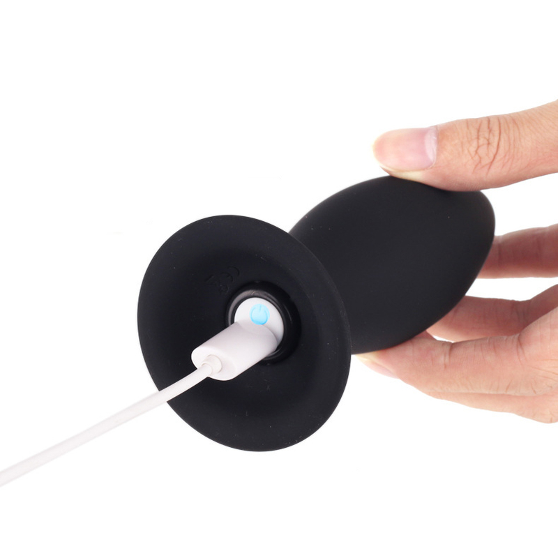 (image for) Roar Anal Vibrator Kit