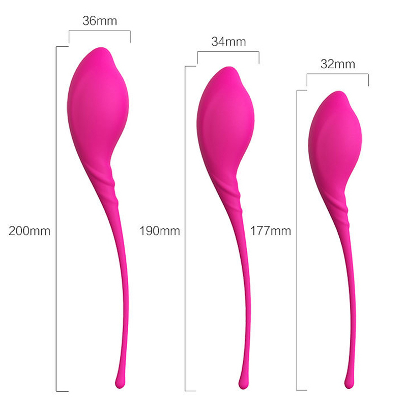 (image for) Lamboll Kegel Vaginal Exerciser Kit