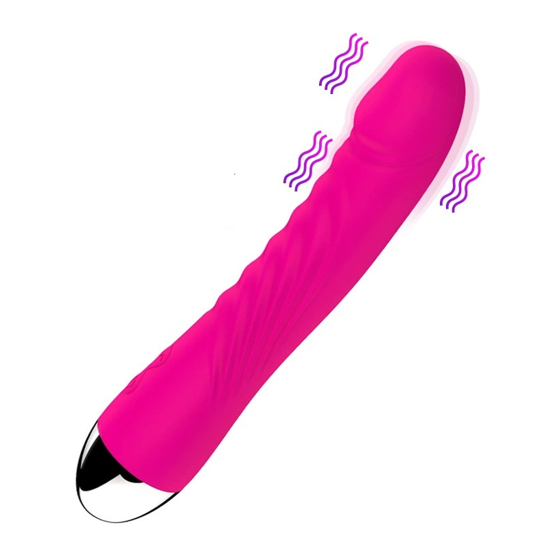 Female Dildo Vibrator