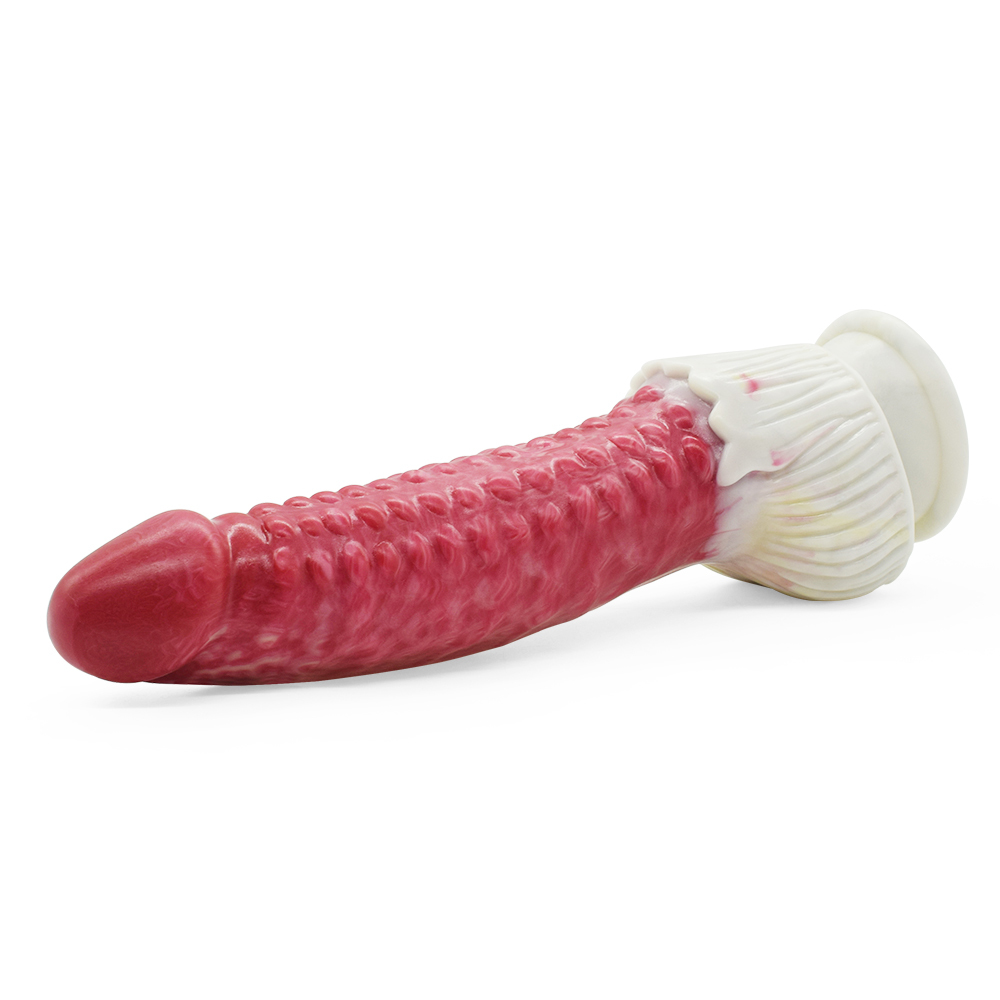 (image for) Beef Color Animal Penis 07