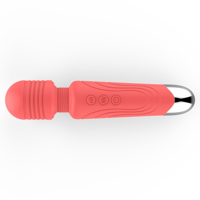 (image for) Guard Wand Massager