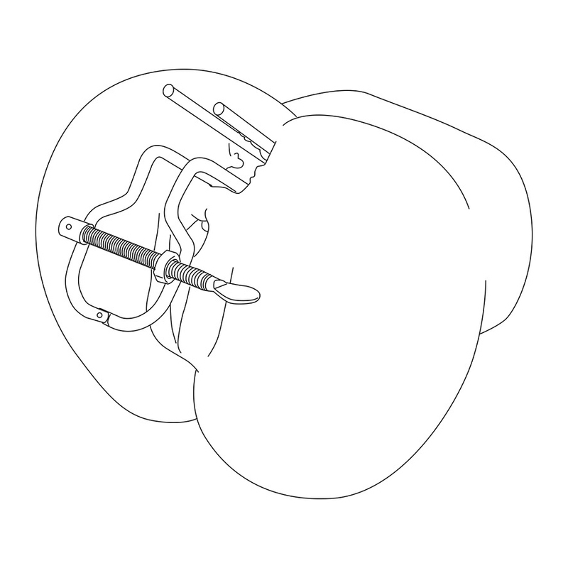 (image for) Vaginal Speculum