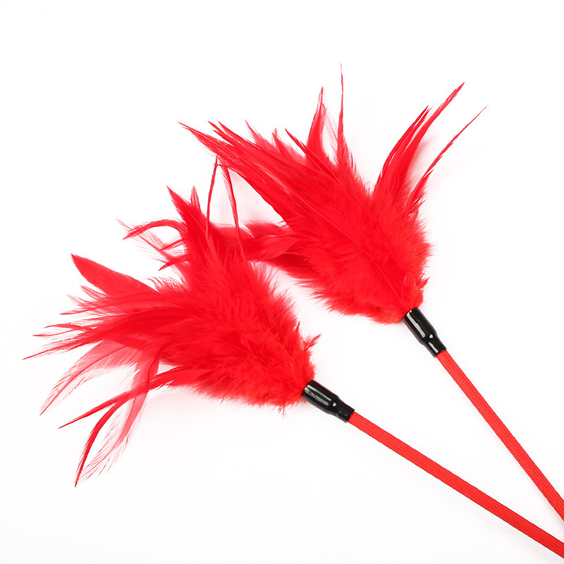 Spank Paddle With Feather Tickler