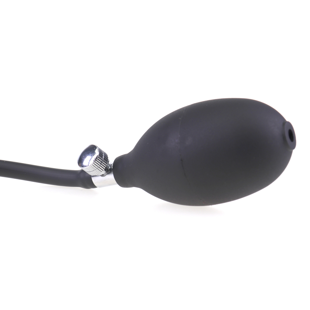 (image for) Inflatable Butt Plug with Detachable Needle- 02