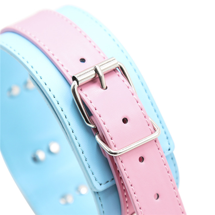 (image for) Blue And Pink Neck Collar