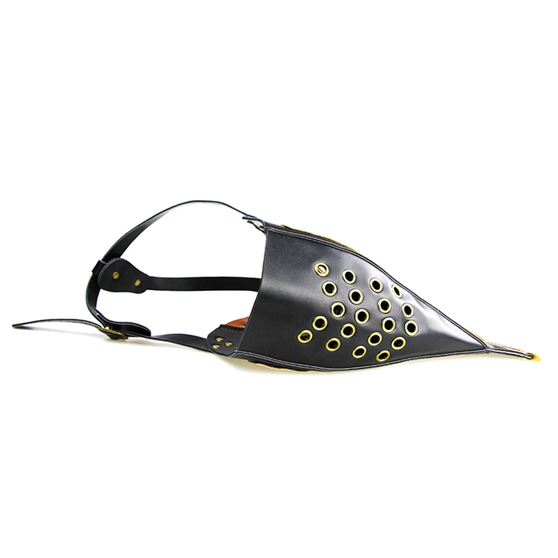 (image for) Medieval Steampunk Mask Party Costume